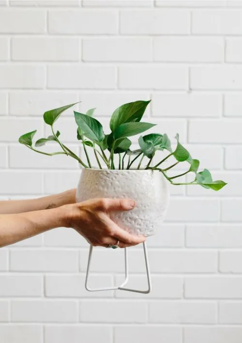 Angus & Celeste Hand-thrown Boulder Small White