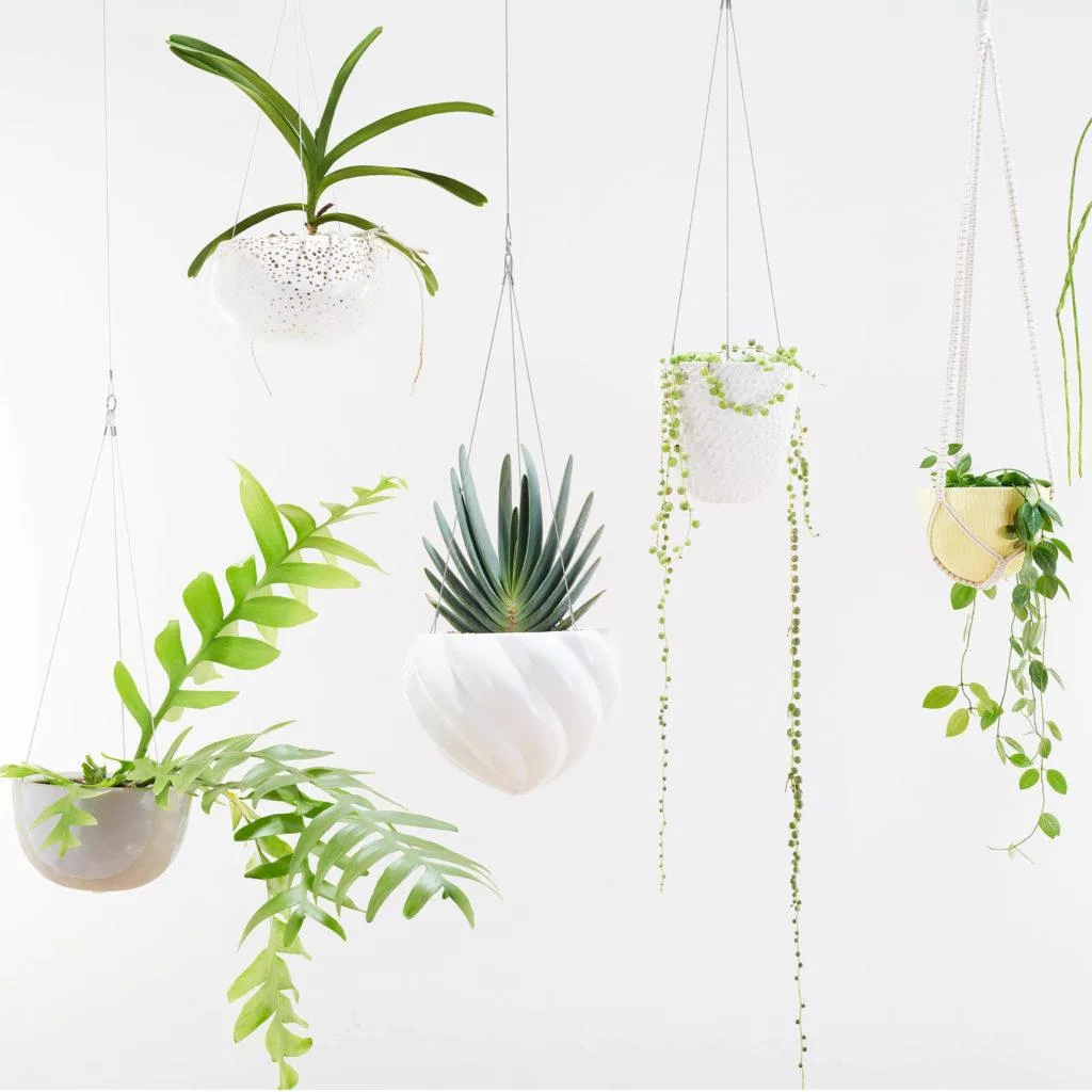 What are the benefits of Indoor Plants?