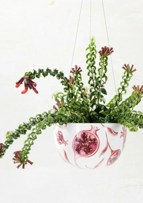 Angus & Celeste Decorative Hanging Planter Pomegranate