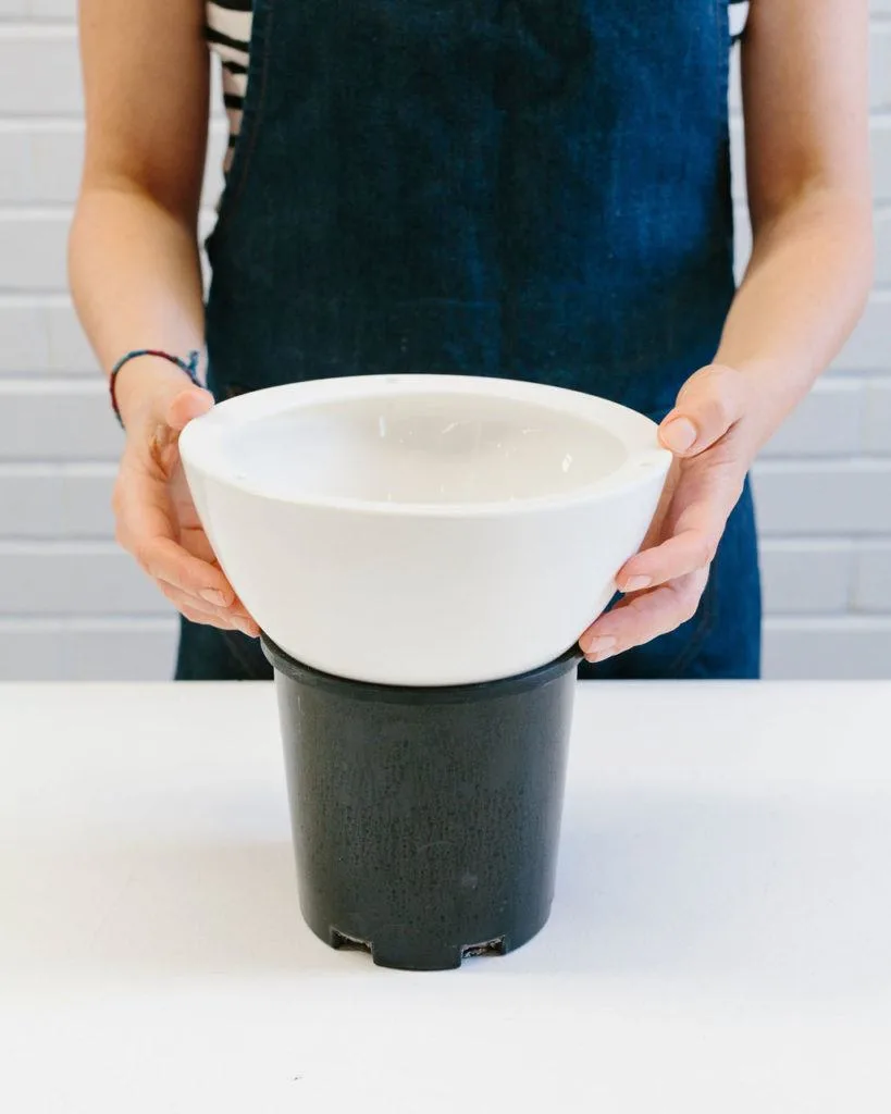 Angus & Celeste - How to pot up a Hanging Planter by Angus & Celeste Angus & Celeste - How to pot up a Hanging Planter by Angus & Celeste