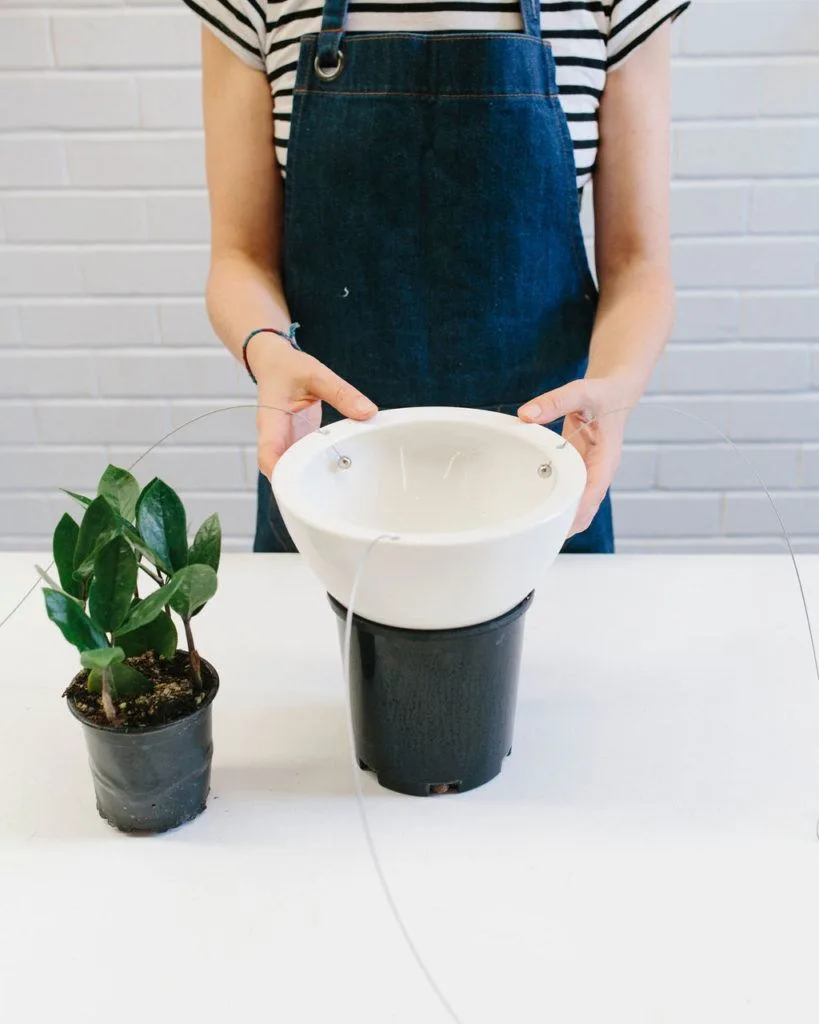 Angus & Celeste - How to pot up a Hanging Planter by Angus & Celeste Angus & Celeste - How to pot up a Hanging Planter by Angus & Celeste