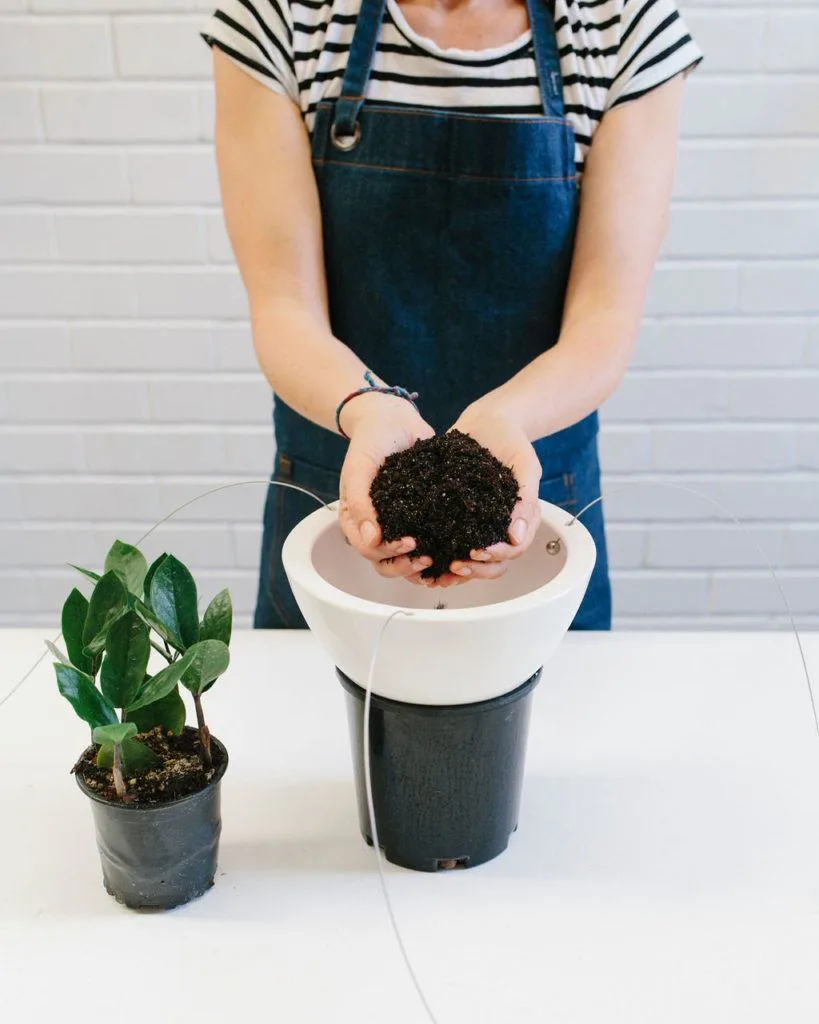 Angus & Celeste - How to pot up a Hanging Planter by Angus & Celeste Angus & Celeste - How to pot up a Hanging Planter by Angus & Celeste