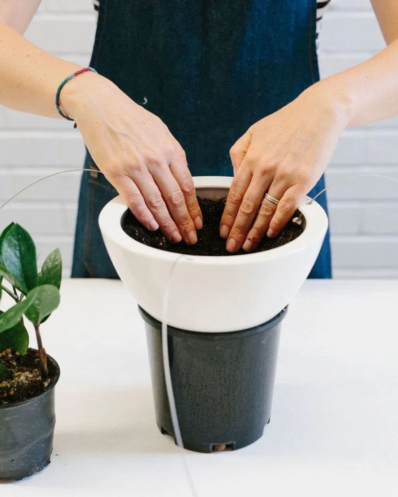 How to pot up a Hanging Planter by Angus & Celeste