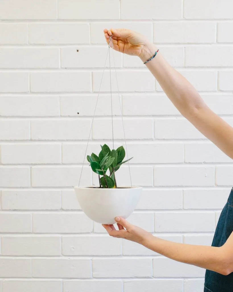 Angus & Celeste - How to pot up a Hanging Planter by Angus & Celeste Angus & Celeste - How to pot up a Hanging Planter by Angus & Celeste