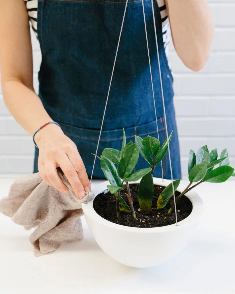 Angus & Celeste - How to pot up a Hanging Planter by Angus & Celeste Angus & Celeste - How to pot up a Hanging Planter by Angus & Celeste