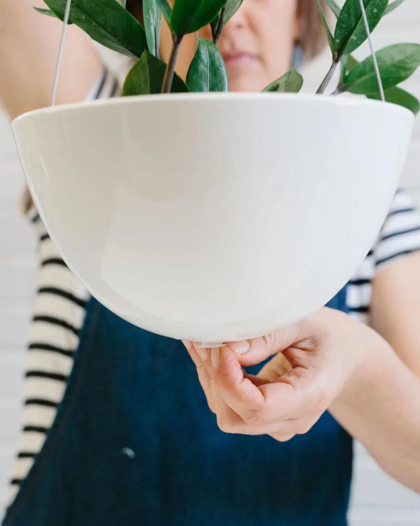 Angus & Celeste - How to pot up a Hanging Planter by Angus & Celeste Angus & Celeste - How to pot up a Hanging Planter by Angus & Celeste