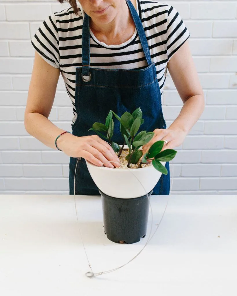 Angus & Celeste - How to pot up a Hanging Planter by Angus & Celeste Angus & Celeste - How to pot up a Hanging Planter by Angus & Celeste