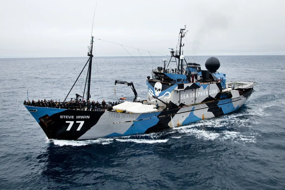 Angus & Celeste - Sea Shepherd x Angus & Celeste Collaboration The Sea Shepherd Ship, Steve Irwin. Photo: Time Watters/Sea Shepherd