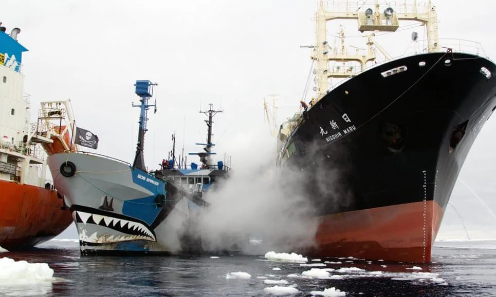 Angus & Celeste - Sea Shepherd x Angus & Celeste Collaboration The Sea Shepherd Ship, Steve Irwin. Photo: Time Watters/Sea Shepherd