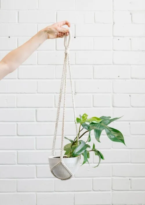 Angus & Celeste Macrame Hanging Planter White
