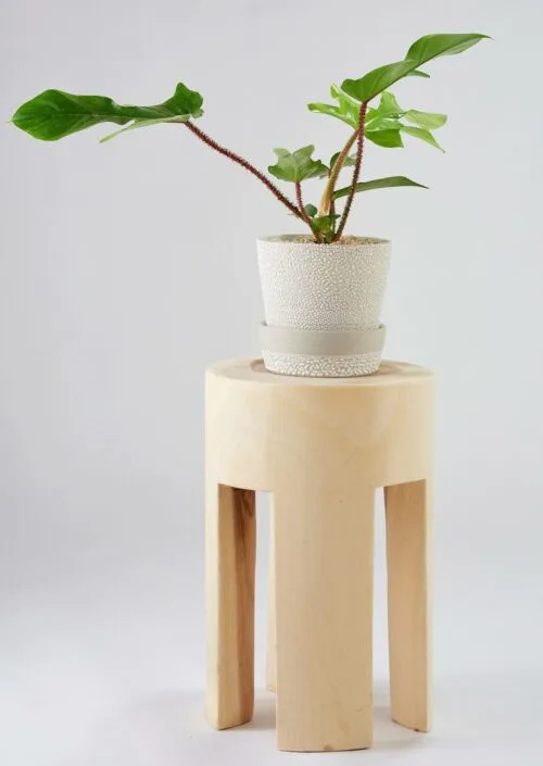 Angus & Celeste White Water Bead Planter Pots Styled