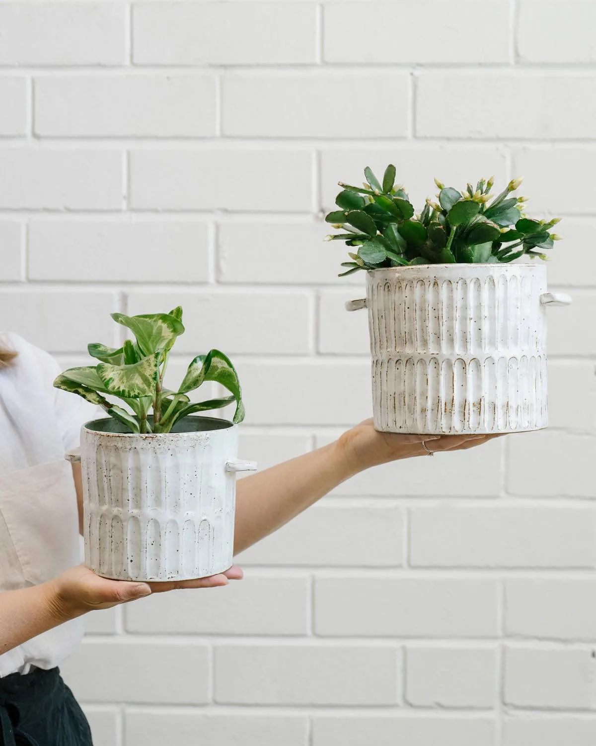 Angus & Celeste Milk Wash Artisan Plant Pot Styled Vertical Lines Set