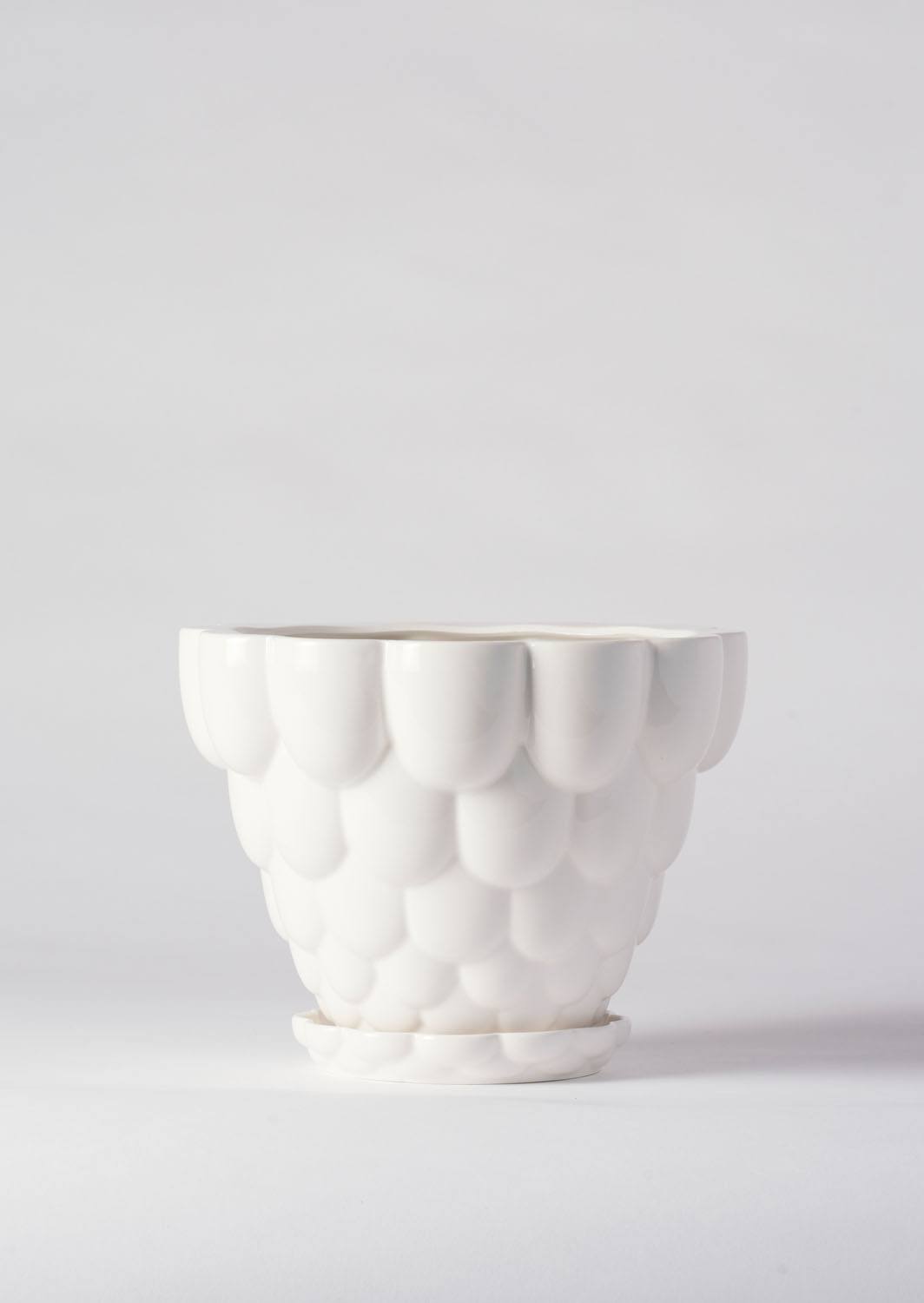 Angus & Celeste Jelly Plant Pot White