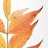 Autumn Spray