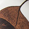 Brown Eucalyptus