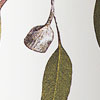 Hanging Gum
