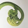 Fern Fronds