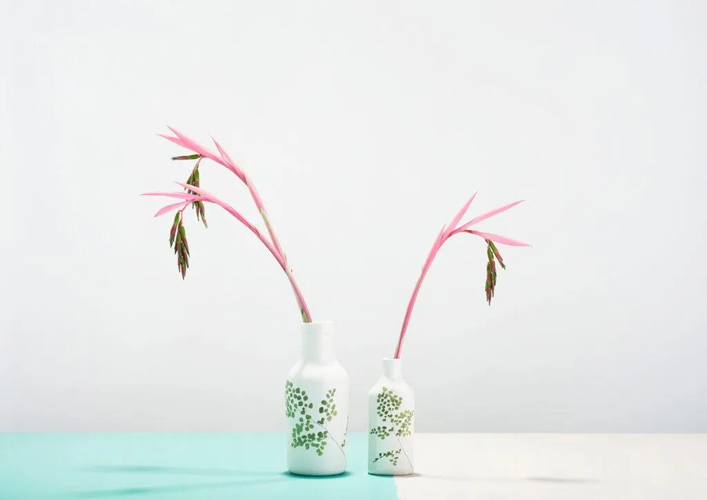 Botanic Vases