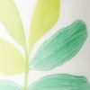 Green Zamia