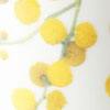 Wattle Blossom