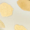 Gold Spot