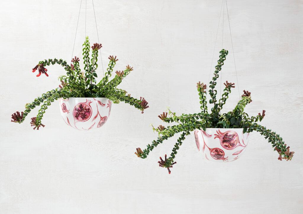 Decorative