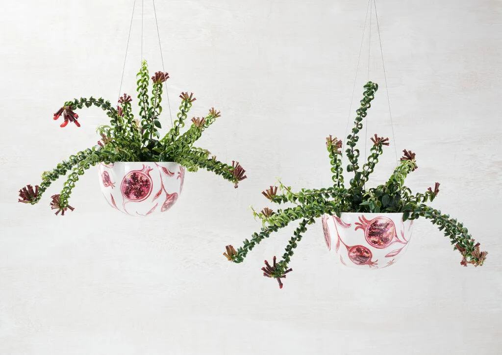 Decorative