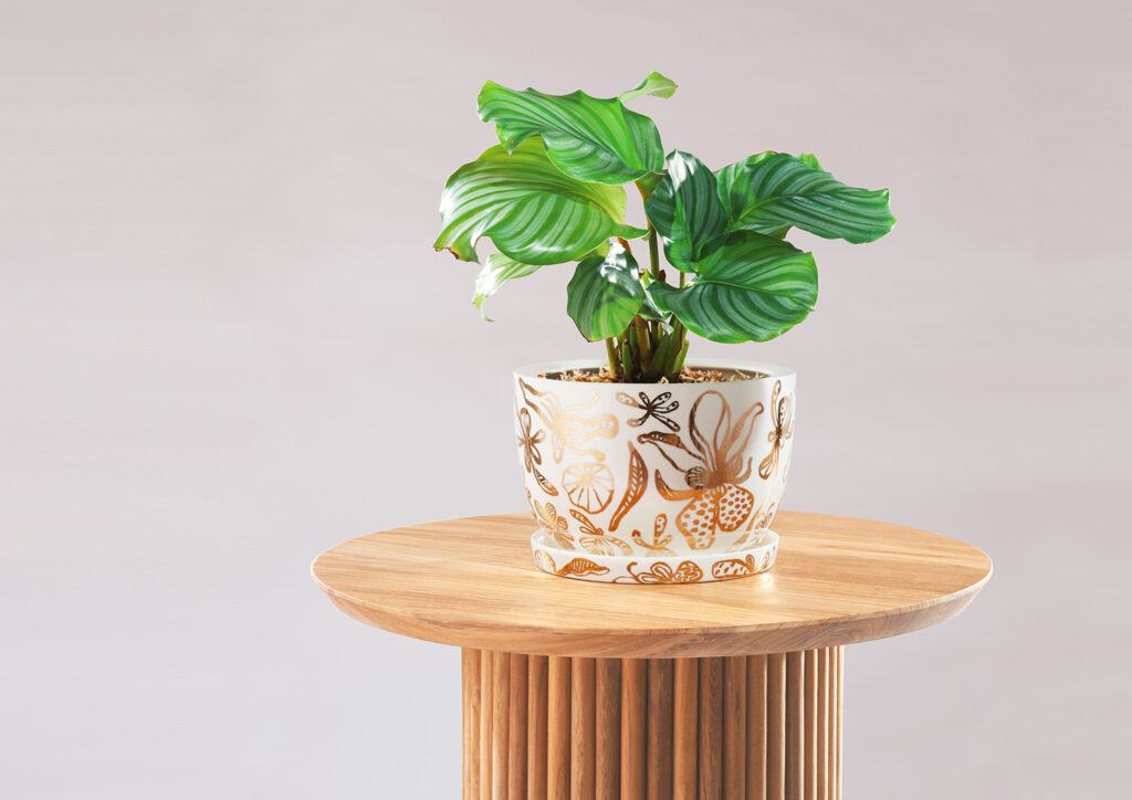 Decorative