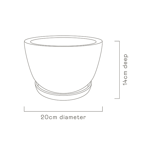 Decorative Plant Pot specs image