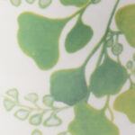 Maiden Fern