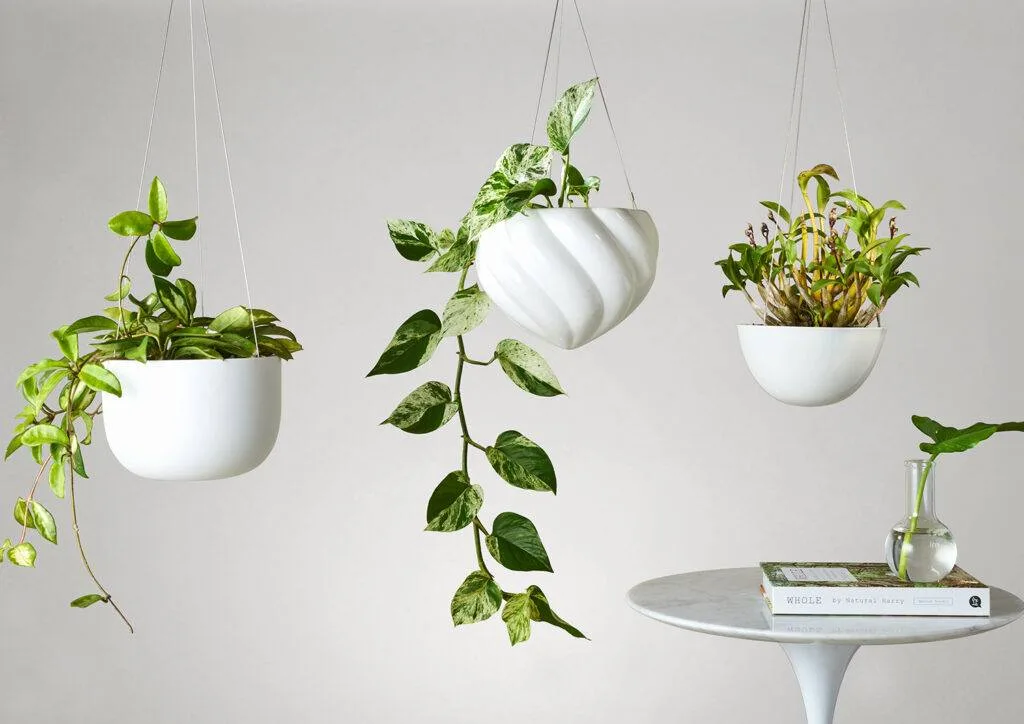 Decorative Hanging Planter Bush Grey