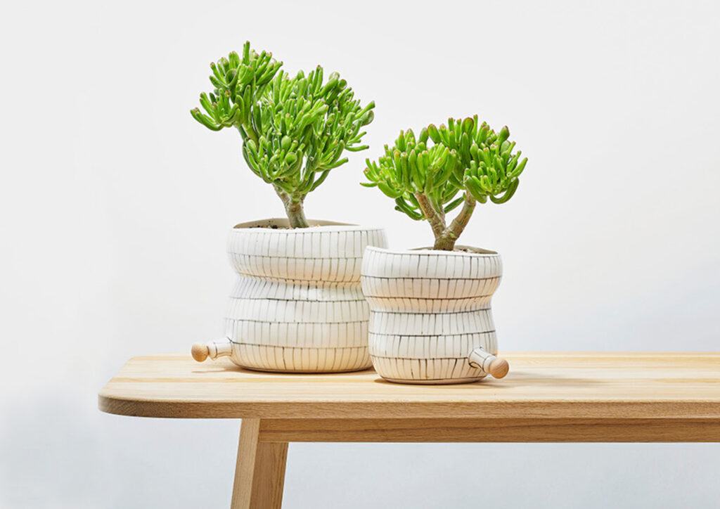 Plant Pod Pourer