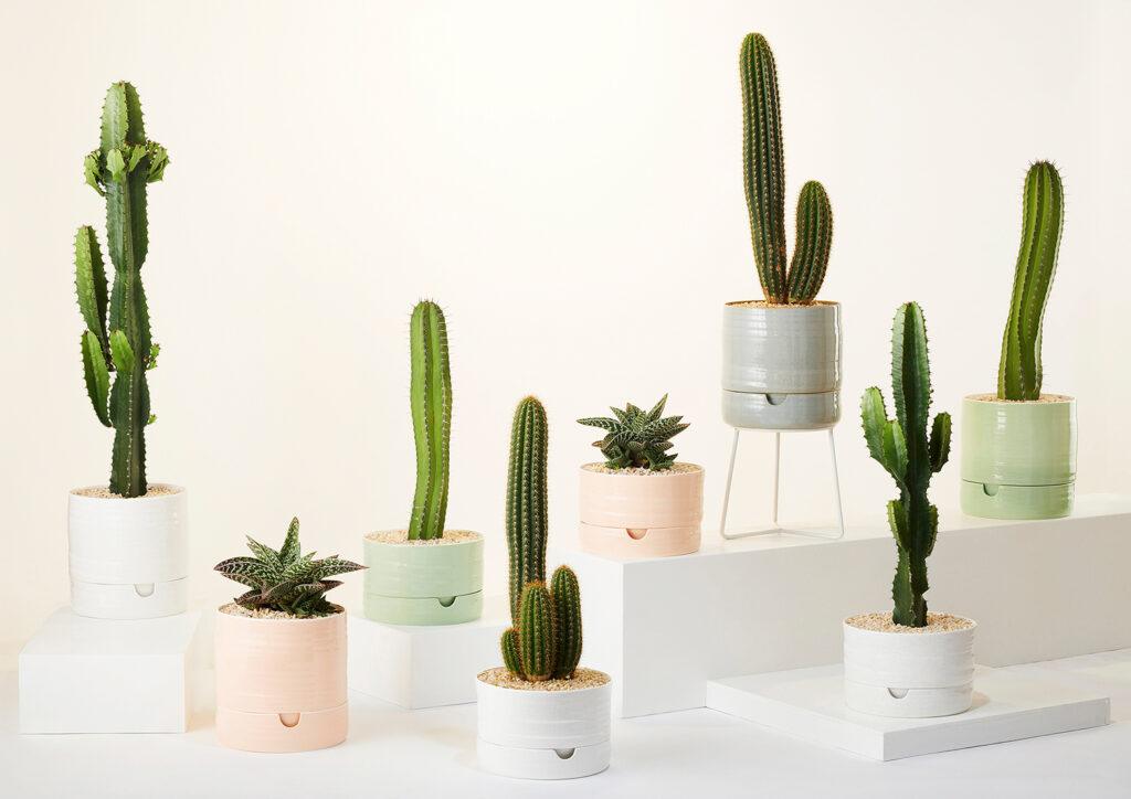 Self Watering