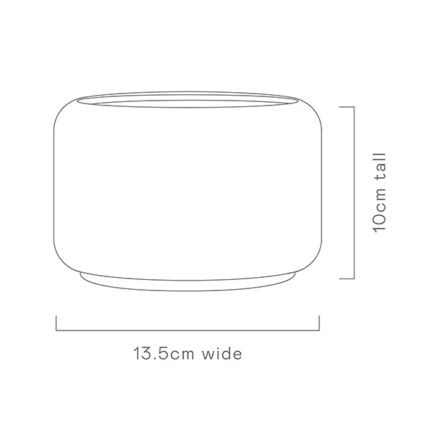 Decorative Succulent Pot specs image
