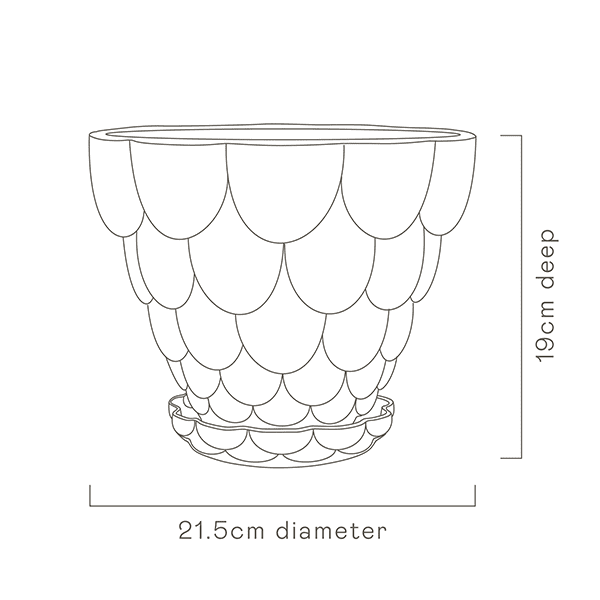 Jelly Plant Pot specs image