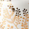 Golden Wattle