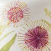 Hakea Blossom