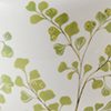 Maiden Fern