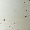 Speckled Eggshell