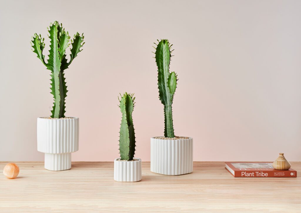 Modular Stack