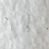 Speckled White
