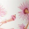 Fairy Floss Gum
