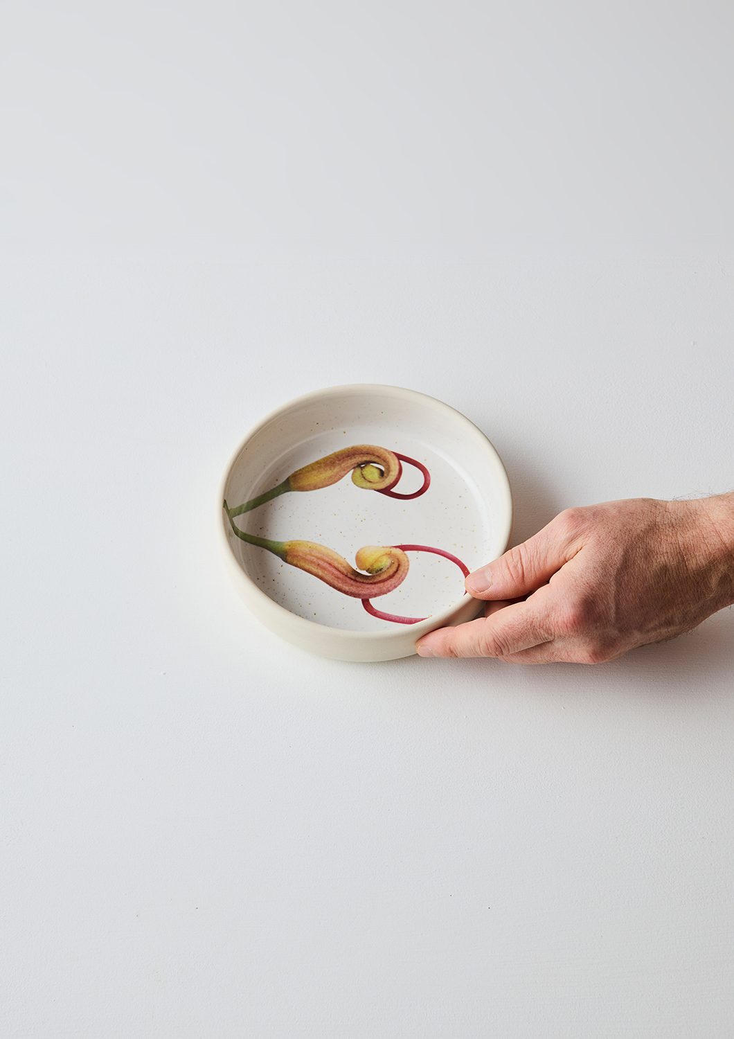 Australian Botanicals - Side Bowl, Grevillea Buds