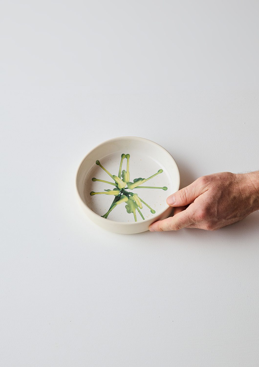 Australian Botanicals - Side Bowl, Grevillea Green Star