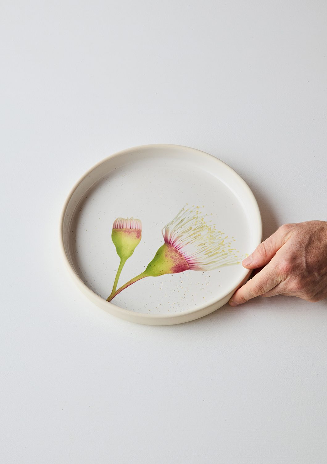 Australian Botanicals - Dinner Plate, Fairy Floss Gum