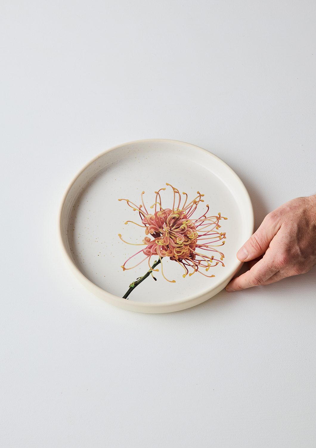 Australian Botanicals - Dinner Plate, Orange Grevillea Blossom