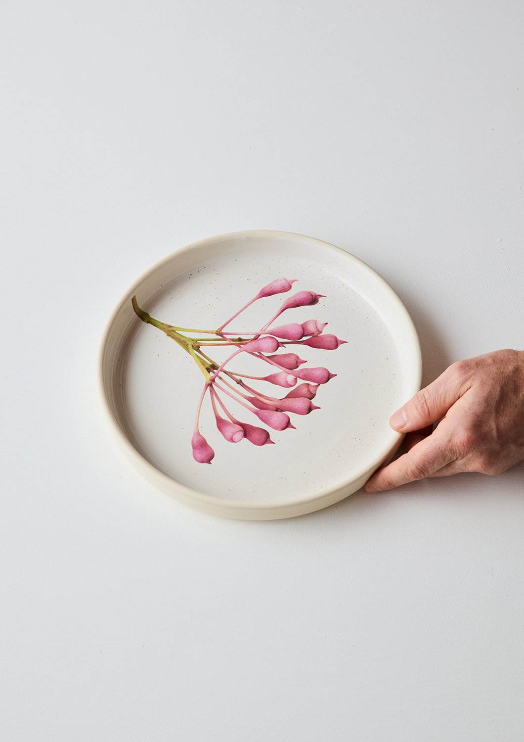 Australian Botanicals - Dinner Plate, Pink Eucalyptus