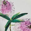 Australian Botanicals