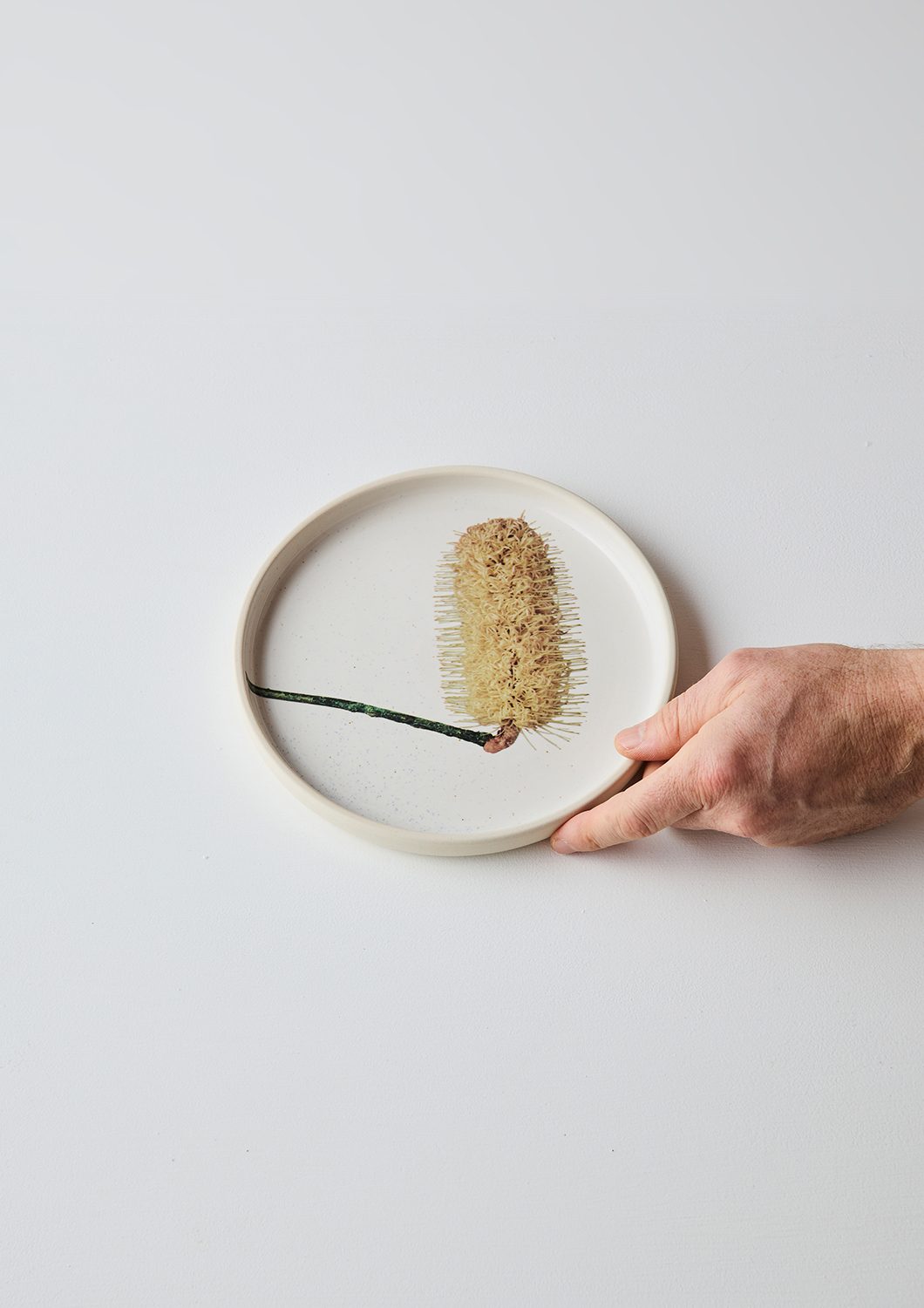 Australian Botanicals - Side Plate, Banksia Bloom