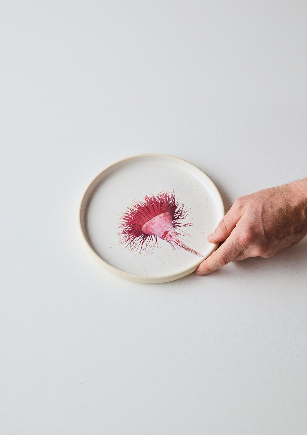 Australian Botanicals - Side Plate, Gum Blossom